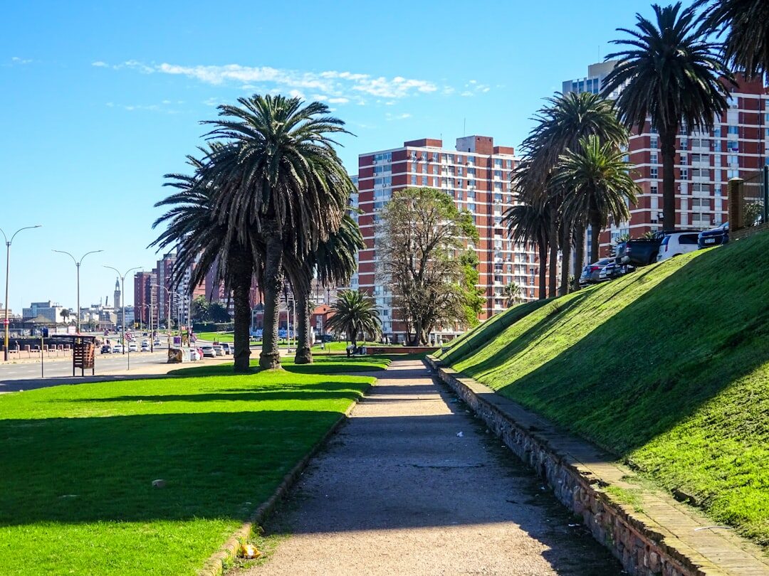 old uruguayan archives